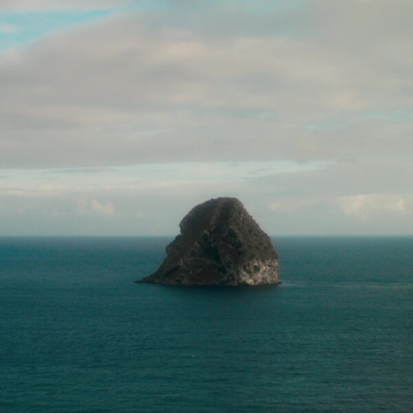 Las islas africanas centran la retrospectiva y el foro profesional de la 23ª edición del Festival de Cine Africano de Tarifa y Tánger